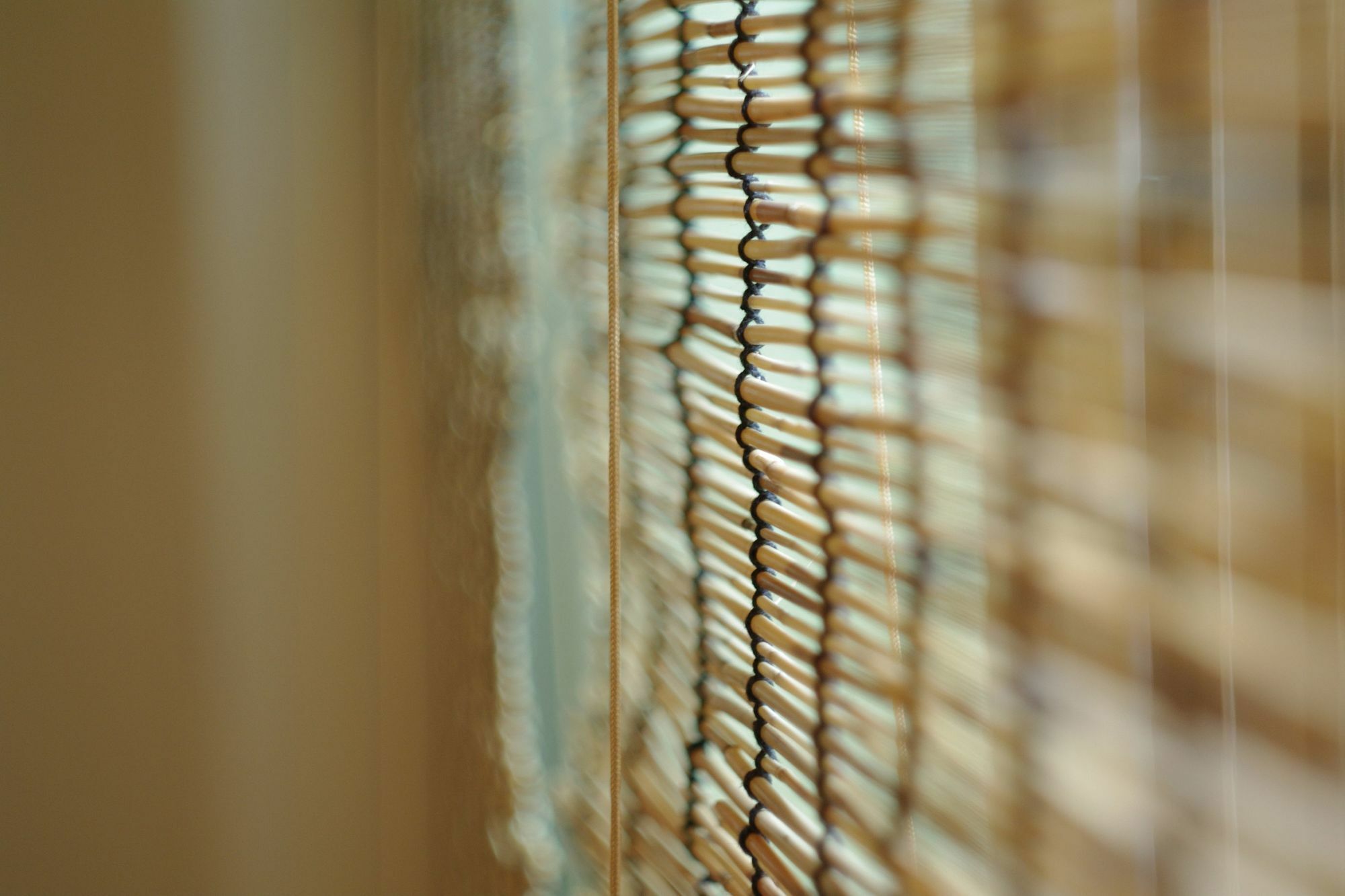 Poly Appartement